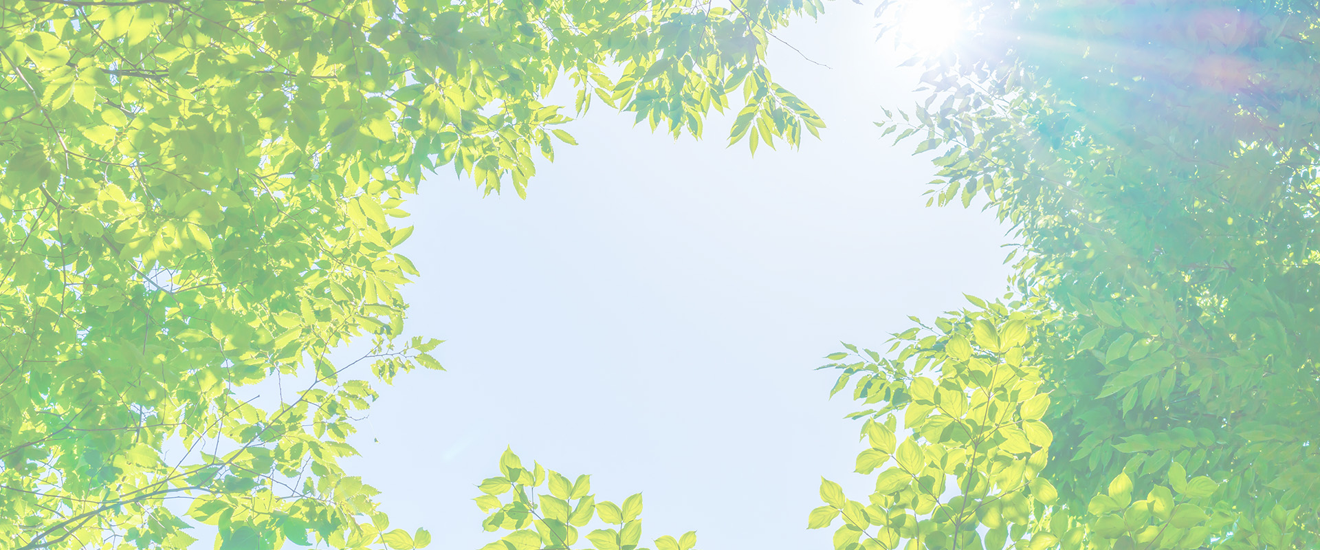 やまぐち皮ふ科